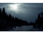 Pines at Dusk, Quebec - 8 x 12 Signed Archival Print