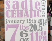 Baby Sign - Personalized - Birth Stats Wall Art - Nursery Decor