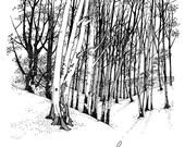 Forest of Death