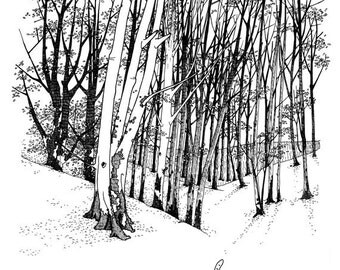 Forest of Death