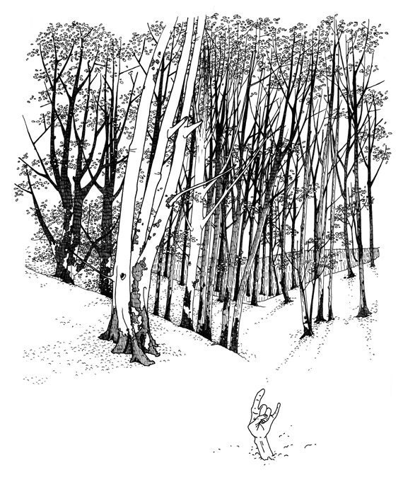 Forest of Death