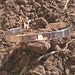 I Got This (baseball softball) (1o8-1.5T) - Metal Stamp Bracelet