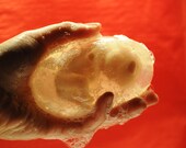 Fetus Soap