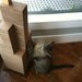 The Sky Scratcher: Chicago - A Renewable & Eco-Friendly Cat Scratching Post