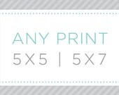 5 x 5 or 5 x 7 Print Size - Illustration of Your Choice - Archival Matte Digital Print