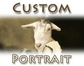 CUSTOM Pet Portrait - Vintage bathroom Digital recolored portrait Altered ephemera Printable image Download postcard and A4 size // cv038