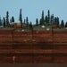 BookEnds of the Earth, Conifer Forest Series.