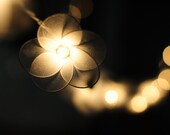 20 flower handmade in white color string light patio decoration wedding bedroom living room party lantern