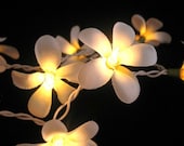 20 x Orchid asian flower handmade string light deco home furniture lantern patio balcony party light