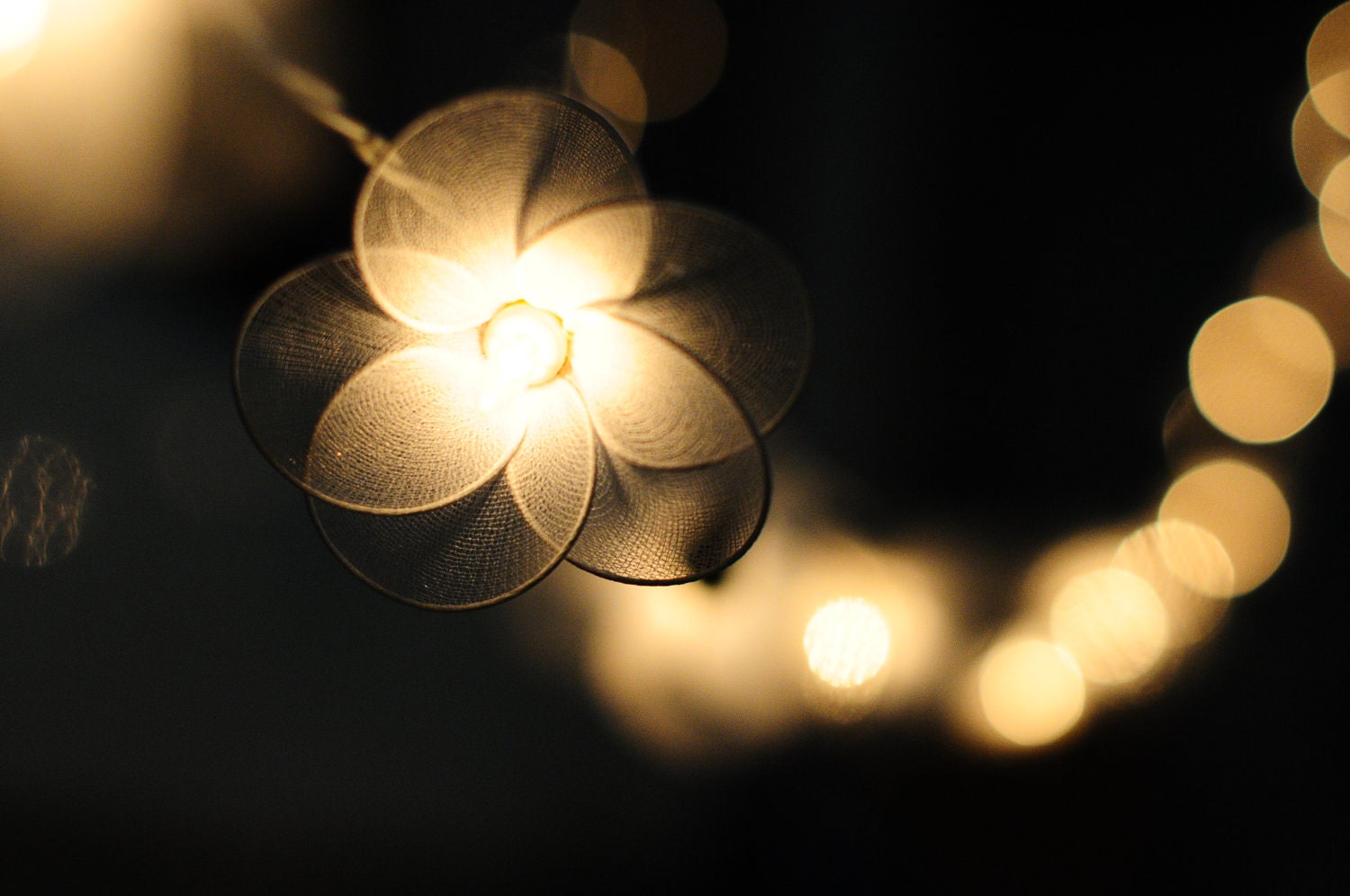20 x white flower indoor bedroom living room romantic decorate handmade light display