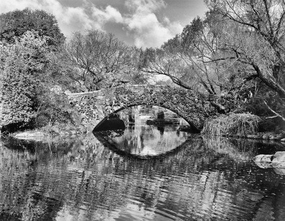 Central Park Autumn Bridge Over Pond