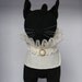 Classy  Bib by FiercePetFashion