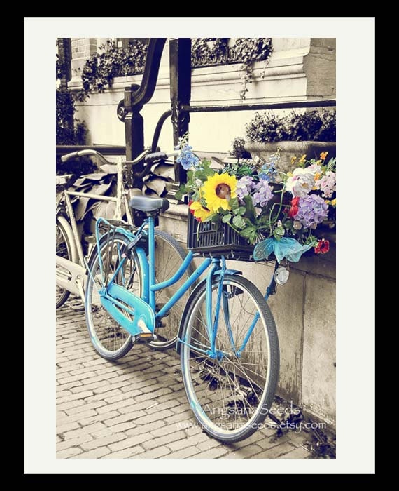 Bicycle basket photo, Amsterdam, soft pastel, vintage, country chic, 8x12, summer flowers, blue, yellow, Holland, home decor, holiday gifts