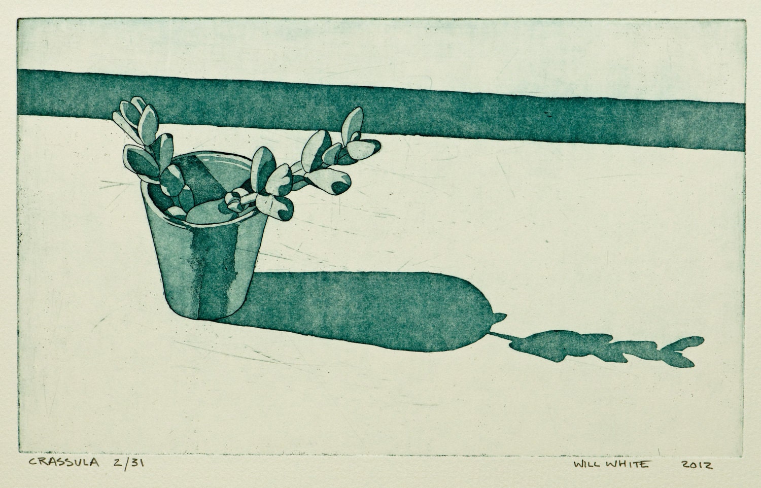 Crassula Pot Plant Etching Print