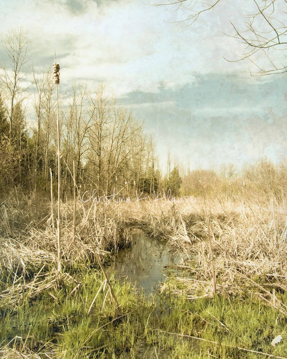 Landscape Photograph.  Home Decor.  Textured Swamp. Cattail. Wisconsin. Blue. Green.  Fine Art Landscape Photography 8x10