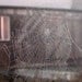 Spiderweb Photo 8x10 Fine Art Photograph - Gothic moody ghostly misty photo spider web decrepit building