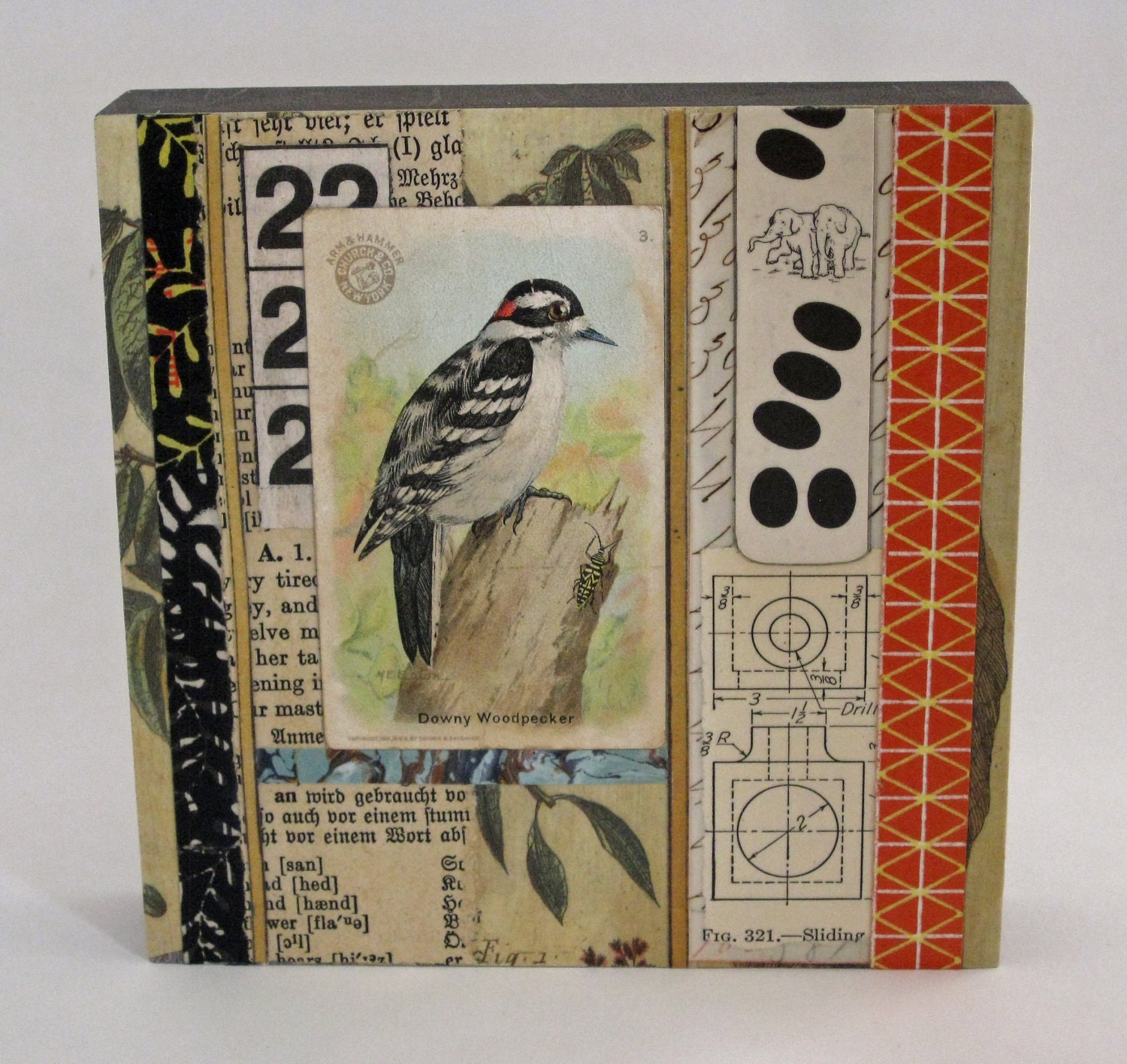Woodpecker, Original Vintage Ephemera Collage, Bird Tobacco Card