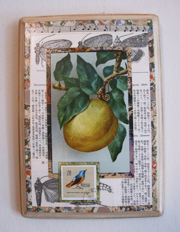Original Collage, Vintage Elements, Bird Stamp, Japanese Butterflies