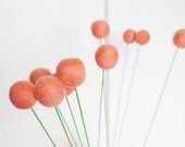 10 Peach Wool Felt Billy Ball Flowers - Needle felted Pom Pom Blooms - Love Housewarming Gift Home Decor Decorating Sweet Wedding Bouquet