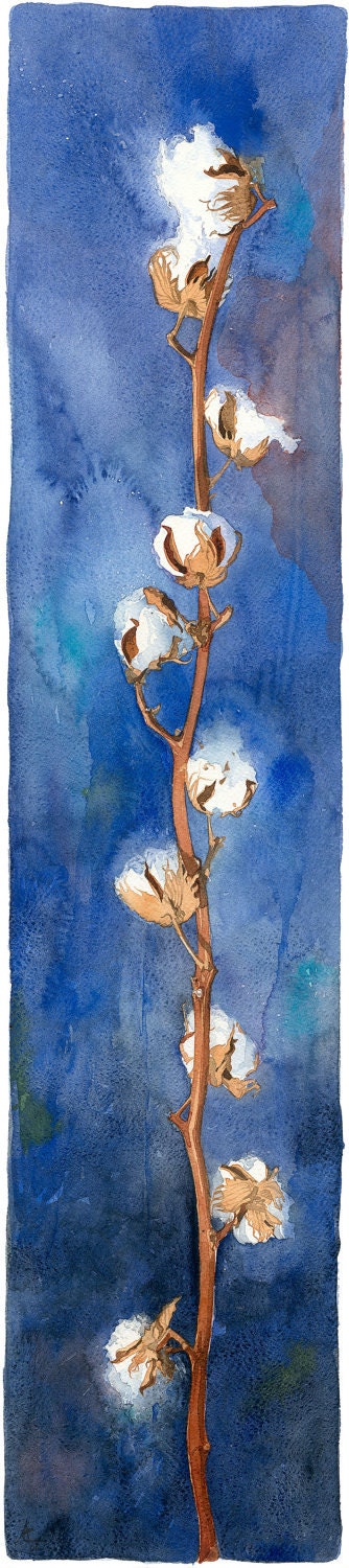 Cotton branch Watercolour Giclée print