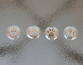 Decorative magnets - Original hand drawn cat designs - Catty Cares (for charity)