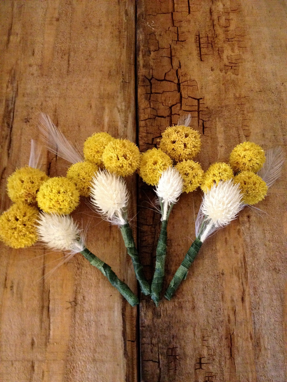 yellow and creme natural boutonnieres with feather (set of four)