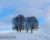 Winter Wonderland - Fine Art Photograph 8x12 (A4)