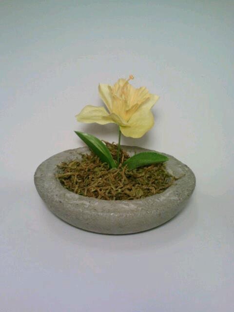 Bowls, Concrete, Bird Feeder, Candy Dish, Vase, Candle Holder,  Trinket Holder. Set of 3.