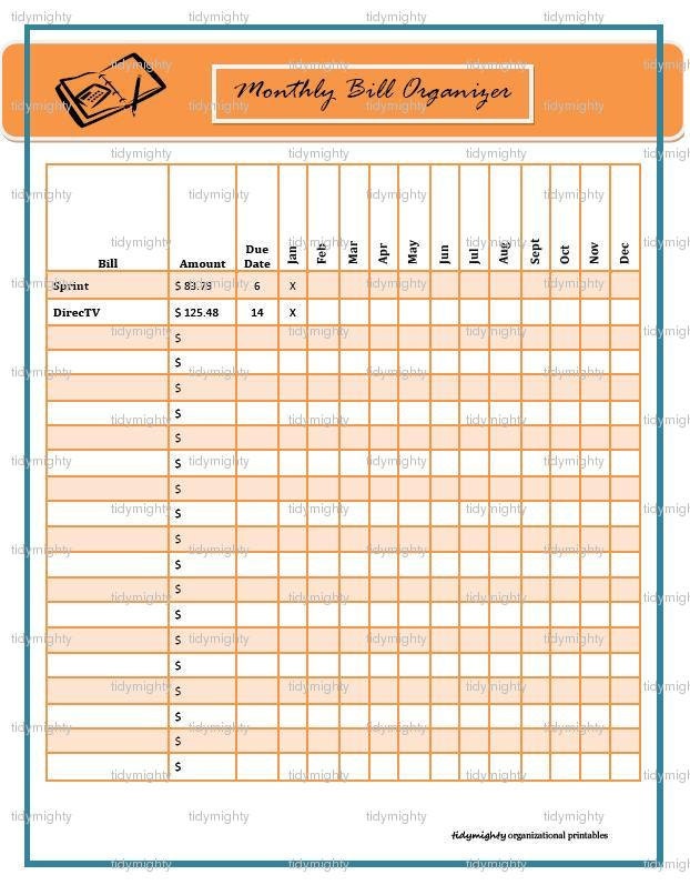 Bill Paying Organizer