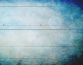 Fine art whimsical photo birds on wire blue bokeh print 8x12"