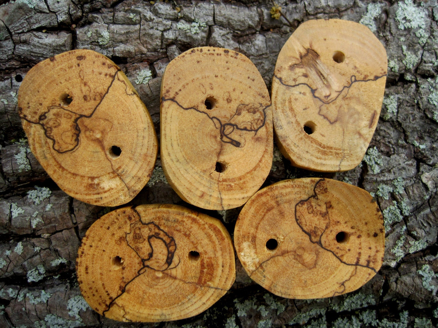 Spalted Maple Rustic Wooden Tree Branch Buttons. Perfect Accessory for Knitting, Crochet, Totes, Purses or Journals- Set of 5