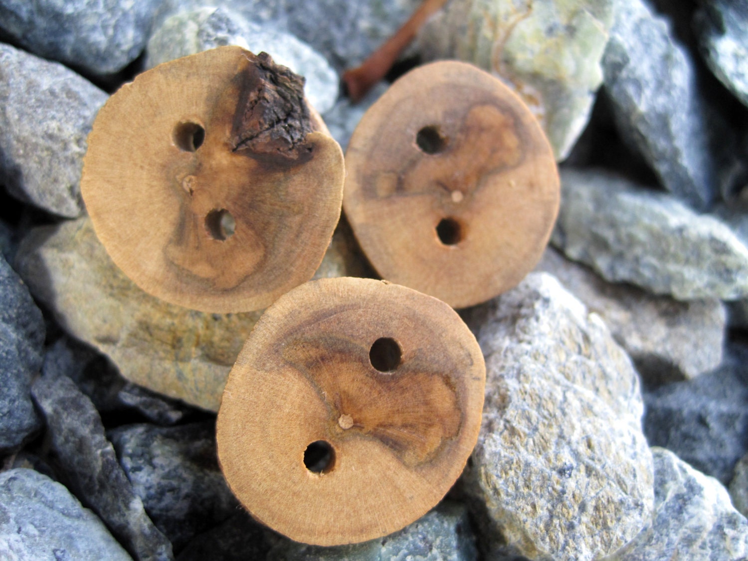 Maple Tree Branch Buttons for Knitting, Crochet, or other Craft Projects (Set of 3)