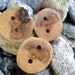 Maple Tree Branch Buttons for Knitting, Crochet, or other Craft Projects (Set of 3)