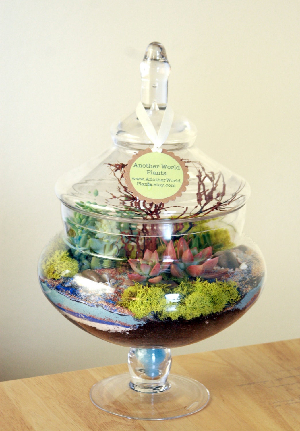 Another World Springtime Enclosed Terrarium
