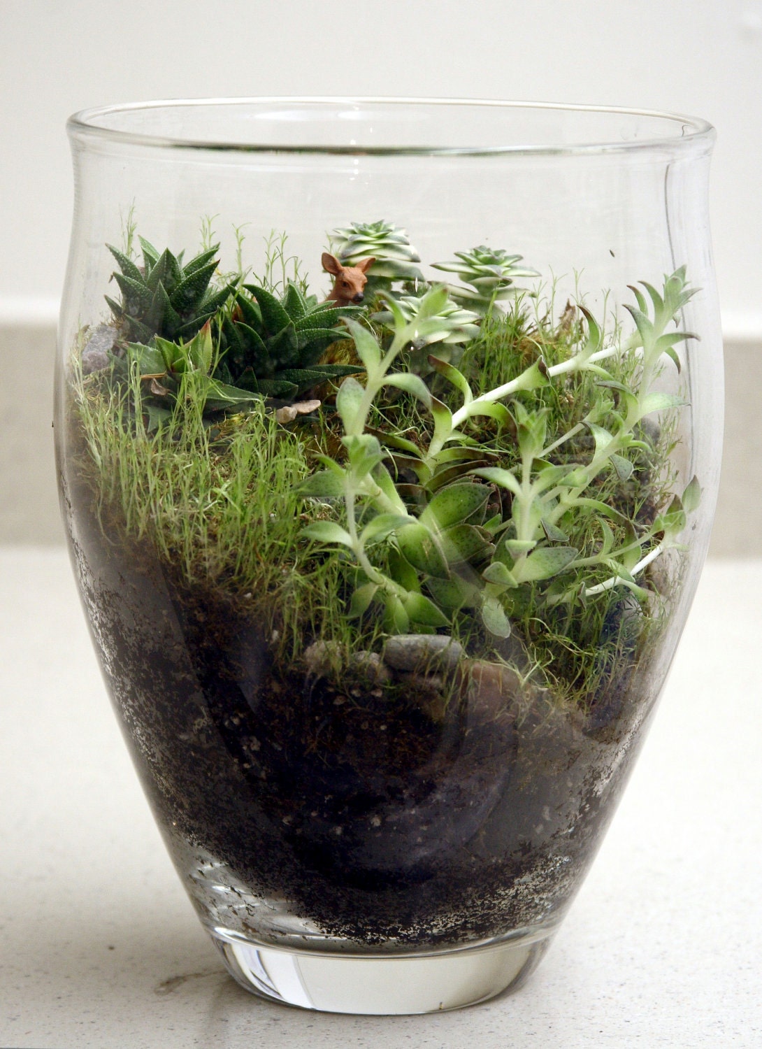 Another World Mountain Terrarium