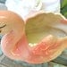 Vintage Swan Planter Pink Swan 1950s Home Decor Planter Vase Epsteam
