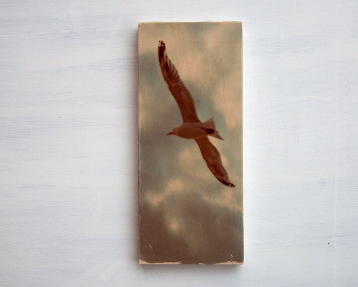 Seagull and Clouds Image Transfer on Wood - by Patrick Lajoie Fine Art Photography