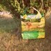 Dog food Market Tote Bag -Upcycled, Recycled Feed Bag