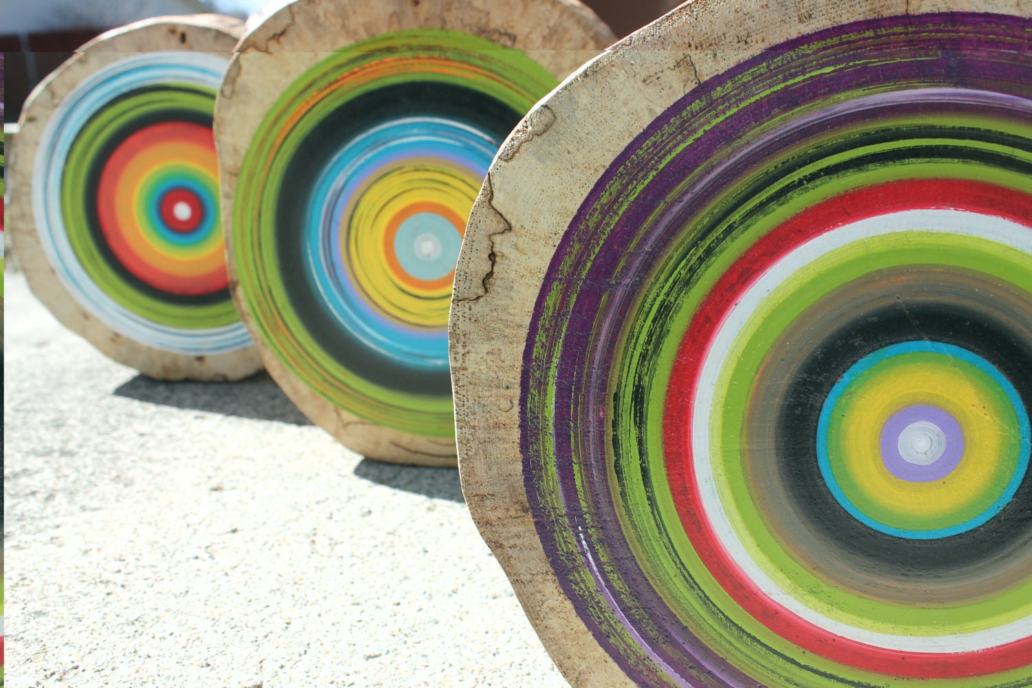 Eco Friendly Wall Art made from reclaimed wood- set of 3 tree rings- great for anniversary gifts or birthday gifts