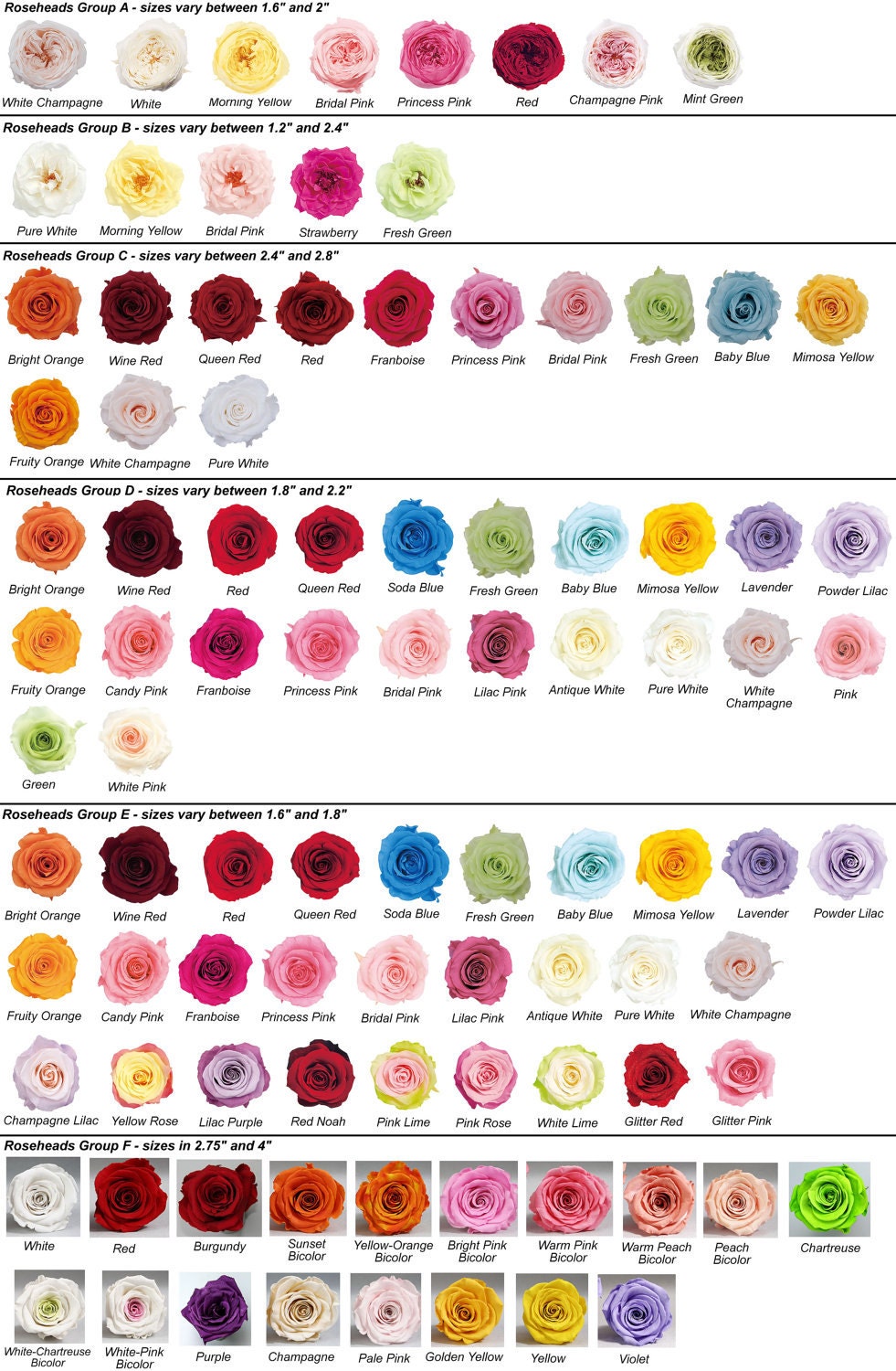 Preserved Roses (stemmed) - Multiple Sizes and Colors Available