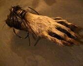 Taxidermy Raccoon Foot Paw Keychain Weird Crazy Strange