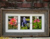 Fencepost Wildflowers of Texas Framed Matted