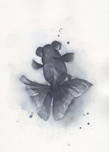Fish, goldfish, fish print,  watercolor, Black Goldfish---- original watercolor print, No-28