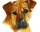 Boxer Mix Dog Art Print Fine Art Giclee Signed by Deb Gardner - 8x10