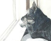 Schnauzer Terrier Dog Fine Art Print Giclee Signed by Deb Gardner - 8x10