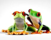 Friendship print - Best Friends - Frog with Figurine Portrait