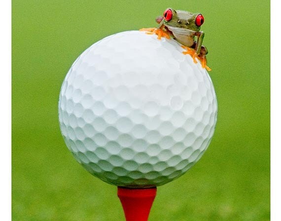 Frog Golf