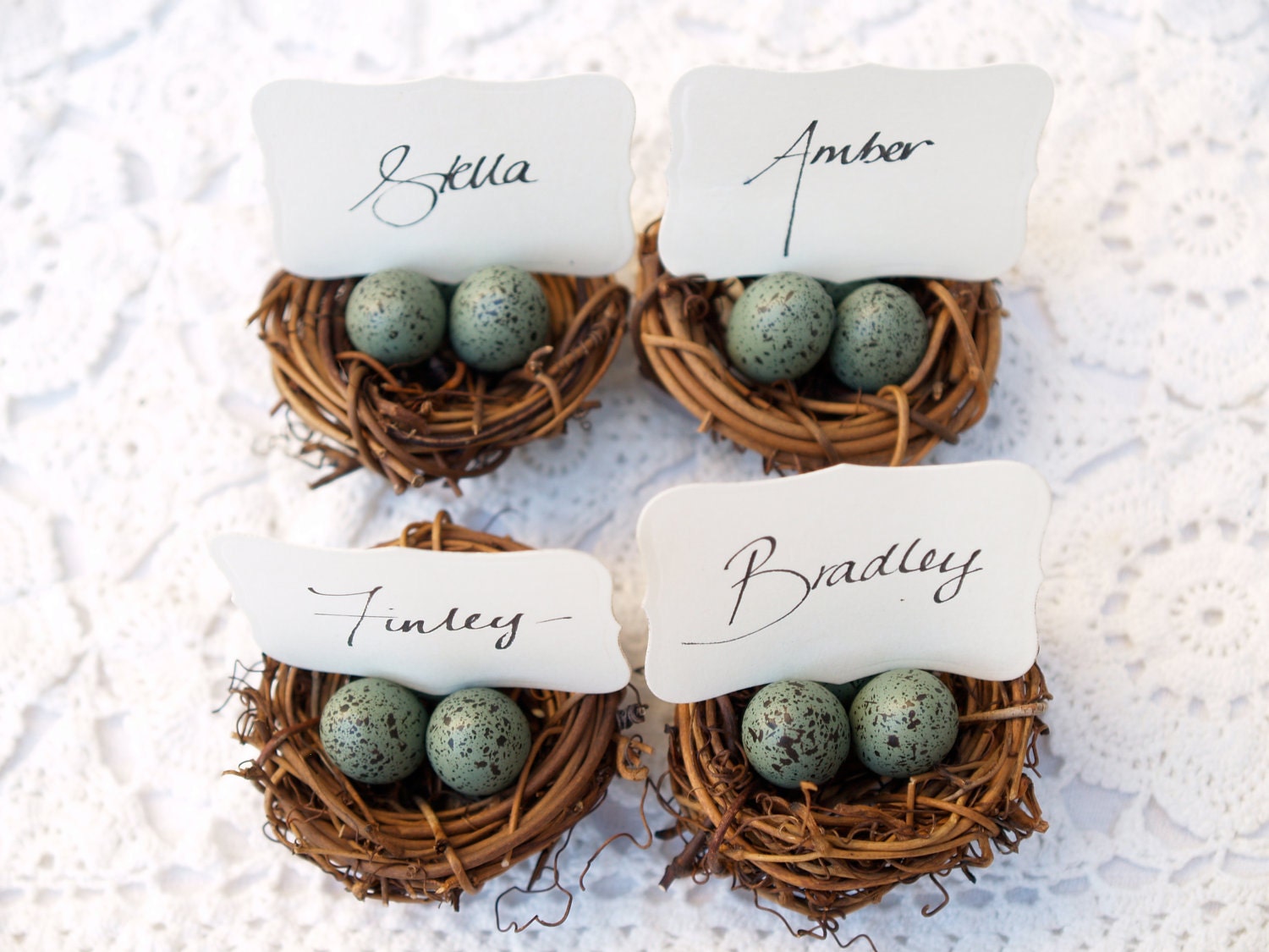 Nest Place Cards, Nests 20, Spring Woodland Escort Card holder Table Setting Rustic Favor Turquoise Blue Pastel Bird Baby Shower