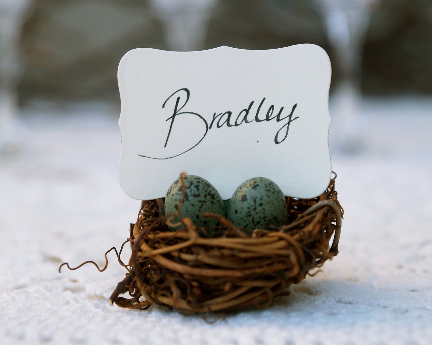 Wedding Place Cards, Nests 5, Spring Woodland Escort Card holder Table Setting Rustic Favor Turquoise Blue Pastel Bird Baby Shower
