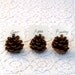 Woodland Wedding Place Cards, 20 Pine Cone holder Table Setting Rustic Country Theme Favor Autumn Fall Winter Christmas Brown Wood Masculine